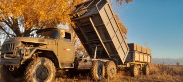 Тракторы МТЗ (Беларус): Срочно!мтз 82 экспортный вариант. кун джостик в бодром состояние,+ 4 — 14