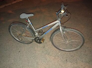 clio 1: Shimano