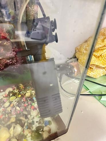 Akvariumlar: Akvaryum seti - Şüşə korpus, təxminən orta ölçülü masaüstü akvaryum - — 3