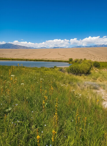 Продажа домов: Дом, 40 м², 4 комнаты, Собственник, Косметический ремонт — 2