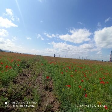московский район участок: 4 соток