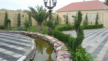 Ağaclar: Dekarativ agaclarin satisi qazon torpaq torf diger gubrelerin satisi — 13