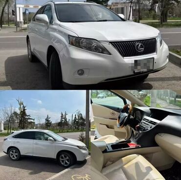 лексус 350 купить: Белый кроссовер Lexus RX 350. Салон выполнен в светлых тонах с