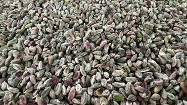 Сухофрукты, орехи, снеки: Очищенные фисташки, готовые к употреблению. Ядра имеют характерный — 12