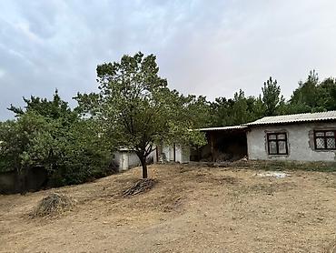 Продажа коттеджей и домов: Продается дом с общей площадью 12 сот. Территория дома 10 сотик и — 6