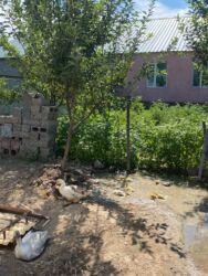 Продажа домов: Дом, 140 м², 5 комнат, Собственник, Евроремонт — 12