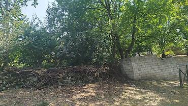 xaçmaz rayonu: Ismayilli rayon Diyallı kəndində torpağ sahəsi satılır.İsmayıllı DYP — 7