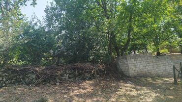 Torpaq sahələrinin satışı: Tikinti, Mülkiyyətçi, Kupça (Çıxarış) — 2