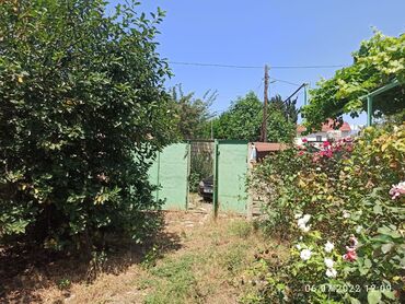 Bağ evlərinin satışı: Nabranda çox qözel menzerede hem denize yaxın hemde meşenin kenarında — 13