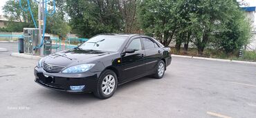 тайота селка: Toyota Camry: 2005 г., 2.4 л, Автомат, Газ