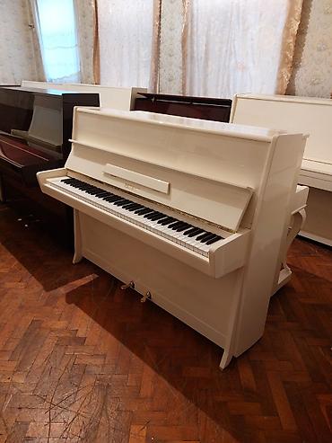 Musiqi alətləri: Piano, Petrof, Akustik, Yeni, Pulsuz çatdırılma — 2