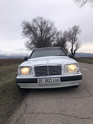 Mercedes-Benz: Mercedes-Benz W124: 1989 г., 2.3 л, Механика, Бензин, Седан — 1