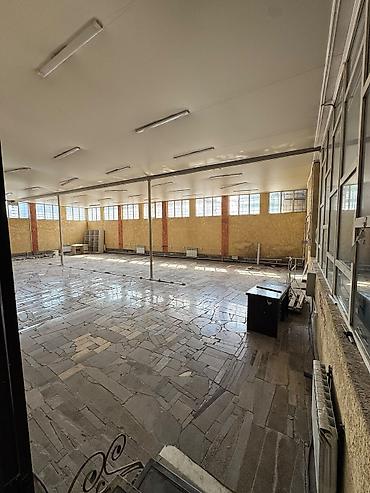 beta stores: 500 м² — 6