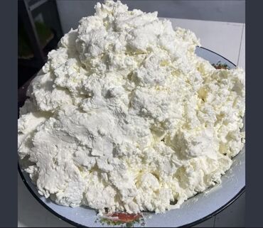туя бишкек цена: Таза сузмо