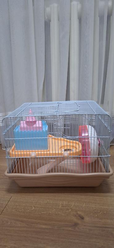 клетка для крысы бу: Клетка для хомячков 36x27 в хорошем состоянии, б/у, за подробностями в — 2