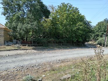 hökməli qobu yolu torpaq: 10 sot, Tikinti, Mülkiyyətçi, Kupça (Çıxarış)