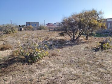 Torpaq sahələrinin satışı: 70 sot, Tikinti, Makler, Texniki pasport — 14