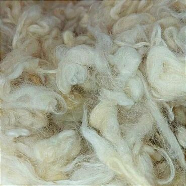 Digər tekstil: Qoyun yunu satılır. Temiz yun satilir kilosu 4azn, 50kq yaxin var