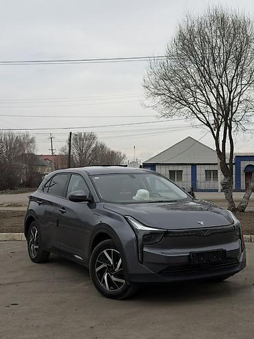 Weltmeister: Weltmeister 2022 г., 75000 км — 1