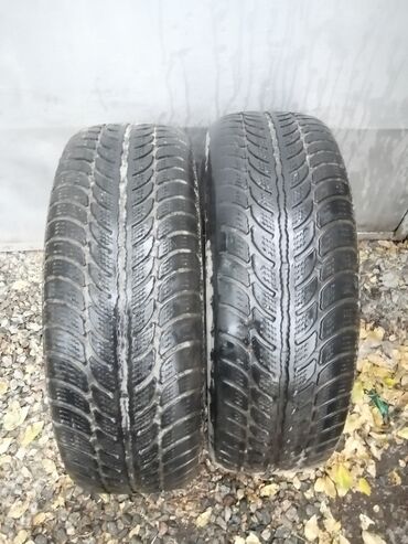 покрышки размер 15: Шины 195 / 60 / R 15, Зима, Пара, Легковые, Сербия