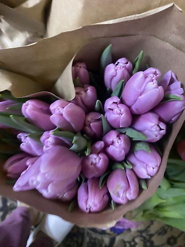 Букеты из живых цветов: Тюльпаны к 8 Марта — опт и розница. - Свежесрезанные тюльпаны разных — 16