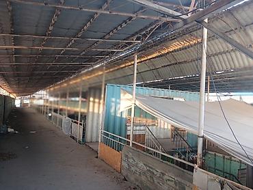 Другое для крыш: "Келечек базары көчүрүлүп жатканына байланыштуу, Чатырын сатууга — 2