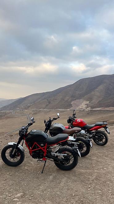 Мотоциклы: Мотоцикл в стиле scrambler / custom на базе Senke SK 250. Эффектный — 6