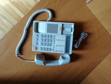 telefon na rasklapanje: Fiksni telefon