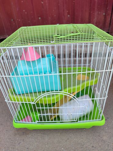 большие клетки для попугаев: Продаю клетку для хомяка