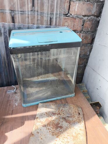 отдам даром аквариум: Продам аквариум дно треснуто,но воду держит,не течет.продам за 500 сом