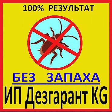 clean point: Дезинфекция, дезинсекция, | Клопы, Блохи, Тараканы, | Транспорт, Офисы, Квартиры — 1