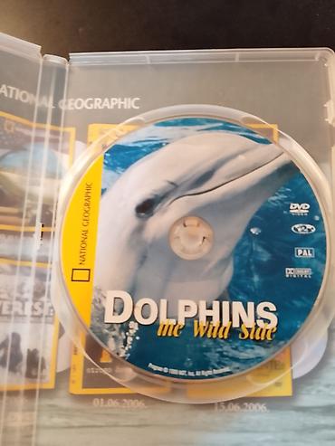kako se odrzava: Naslov: National Geographic DVD – Delfini (Dolphins: The Wild Side) — 2