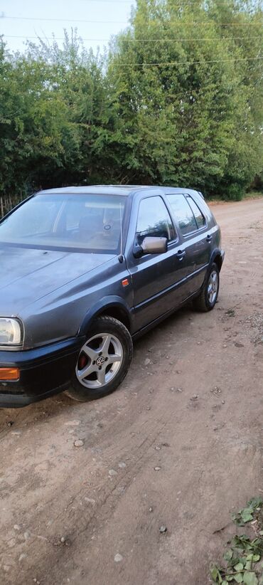 Volkswagen: Volkswagen Golf: 1992 г., 1.8 л, Механика, Бензин, Хэтчбэк