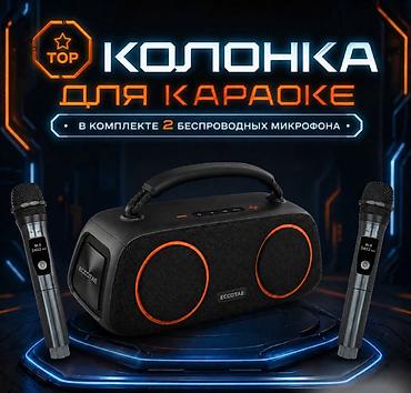 dji mic 1: Портативная колонка караоке система с двумя микрофонами Eccotae TK-118 — 6