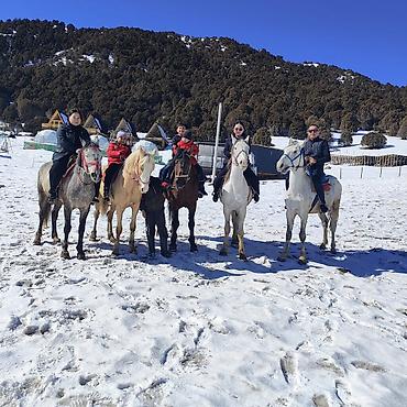 Лошади, кони: Продаю | Конь (самец) | Конный спорт — 10