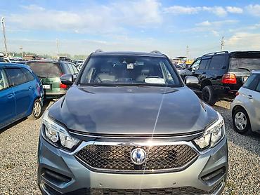 рекс продаю: Ssangyong Rexton: 2019 г., 2.2 л, Автомат, Дизель, Внедорожник — 2