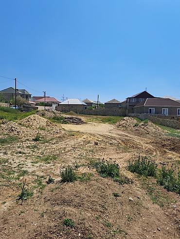 sarayda torpag: 20 sot, Tikinti, Mülkiyyətçi, Kupça (Çıxarış) — 3