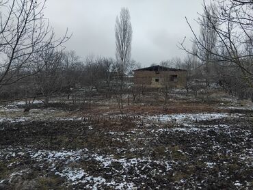 Torpaq sahələrinin satışı: 31 sot, Tikinti, Mülkiyyətçi, Kupça (Çıxarış)