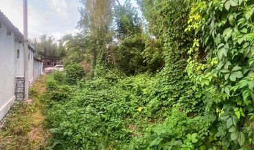 сдаю рабочий городок: Барачный, 25 м², 1 комната, Собственник, Старый ремонт