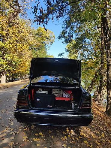 w124 дерево: Mercedes-Benz E-Class: 2002 г., 2.8 л, Автомат, Бензин, Седан — 6