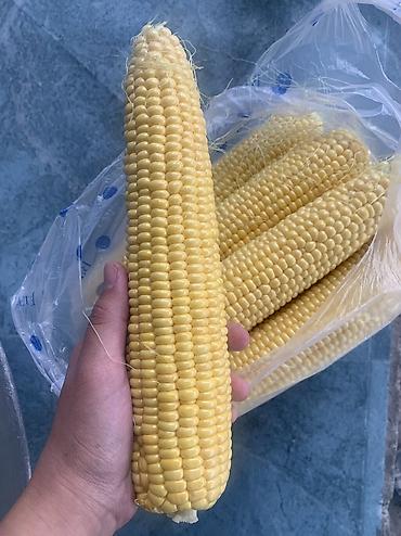 Кукуруза Оптом, В розницу, Самовывоз