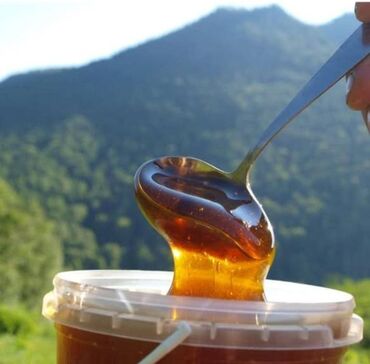 tut sirkəsinin hazırlanması: 🍯 Zaqatala Cökə dağ balı – 100% təbii, qatqısız! Arı pətəyindən