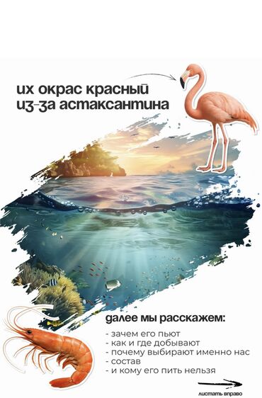 Витамины и БАДы: Для детоксикации, Для зрения, Для ногтей, Для взрослых, Для женщин, Для мужчин, Капсулы, Новый — 3