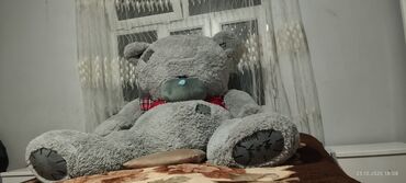 yeni lifcikler: Tedı mişka. yenidir lalafo.az -da yeni lifcikler: Tedı mişka. yenidir