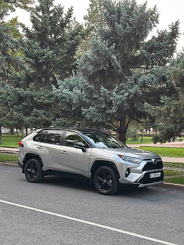 Toyota: Toyota RAV4: 2019 г., 2.5 л, Вариатор, Гибрид — 7