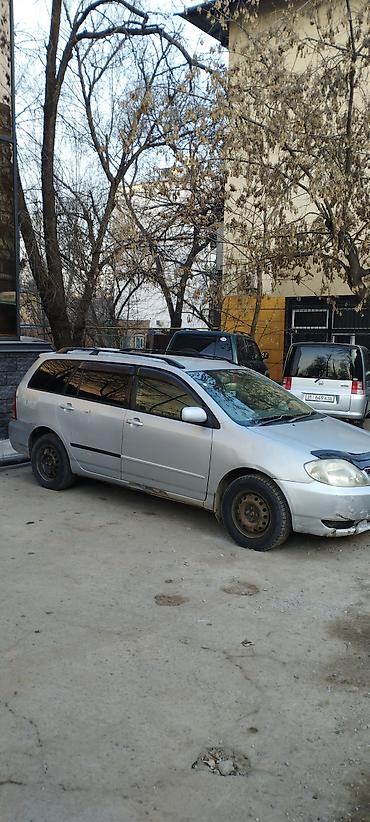 corolla runx: Toyota Corolla: 2002 г., 1.5 л, Автомат, Бензин, Универсал — 2