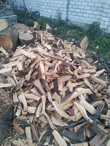 дравы: Бак отун дарак Терек дуп топал Драва ж/б и/д кыйабыз кесебиз жыгабыз — 2