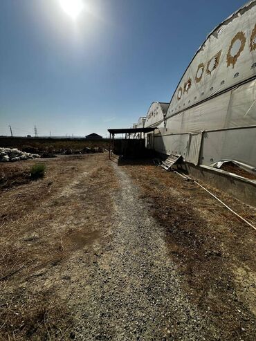 Kommersiya daşınmaz əmlakının satışı: Abseron Rayonu Məhəmmədli Qəsəbəsində Parnik satilir. Torpaq sahəsi 60 -da lalafo.az — 5 Kommersiya daşınmaz əmlakının satışı: Abseron Rayonu Məhəmmədli Qəsəbəsində Parnik satilir. Torpaq sahəsi 60 — 5