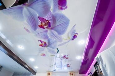 покраска эмульсией цена: Натяжные потолки Глянцевые, Матовые, 3D потолки