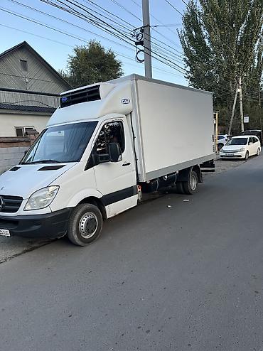 се категория права: Перевозка груза рефрижераторы Мерседес спринтер до 3 тон -20/+20 — 1